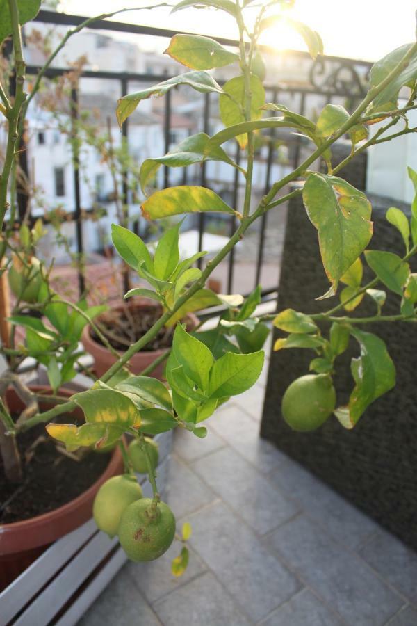 Dimore De La Rosa ปาแลร์โม ภายนอก รูปภาพ