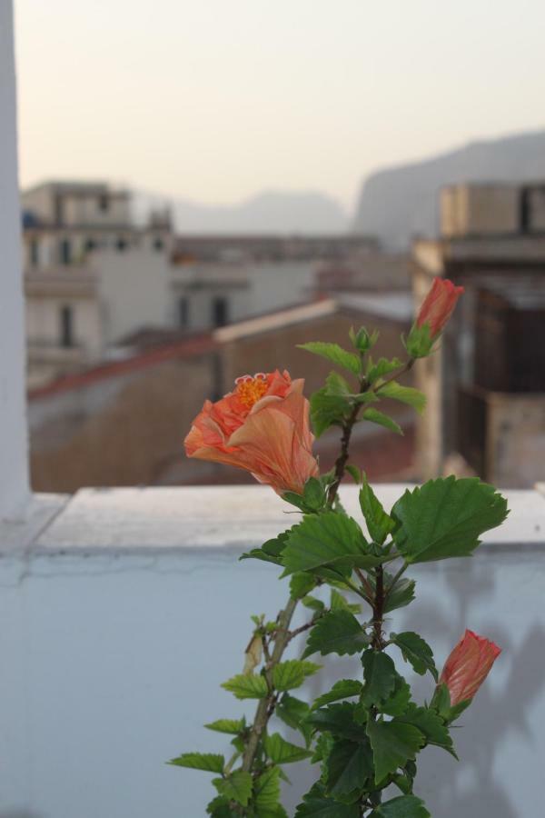 Dimore De La Rosa ปาแลร์โม ภายนอก รูปภาพ